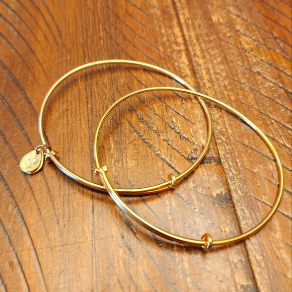 Alex and Ani Jewelry - 🎈2/$15 Alex and Ani bracelets- Plain Gold spacers